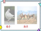 統(tǒng)編版語文二年級(jí)上冊課件《語文園地八》