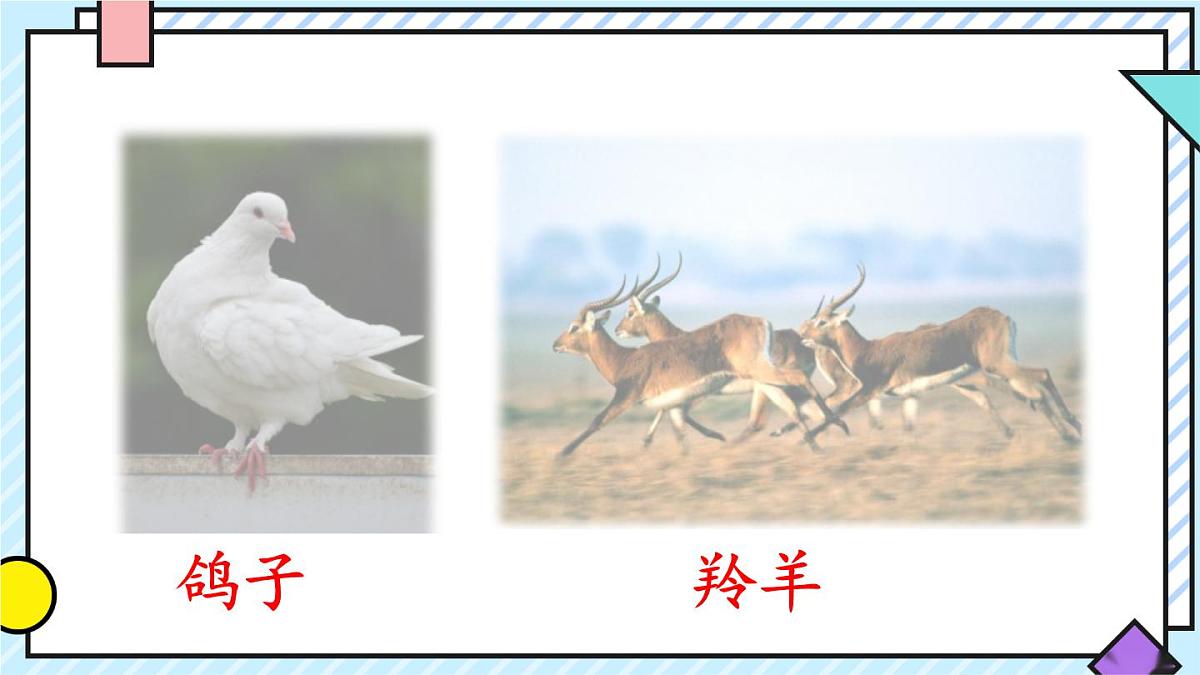 统编版语文二年级上册课件《语文园地八》第5页