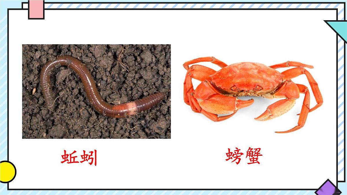 统编版语文二年级上册课件《语文园地八》第6页