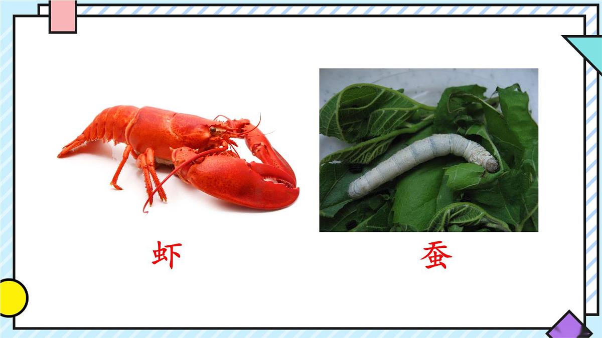 统编版语文二年级上册课件《语文园地八》第7页