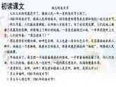 統(tǒng)編版語文二年級上冊教學(xué)課件《16 難忘的潑水節(jié)》