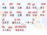 統(tǒng)編版語文二年級上冊教學(xué)課件《16 難忘的潑水節(jié)》