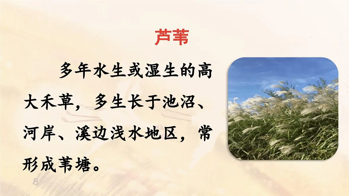 2025秋新教材统编版语文四年级（上）第1单元3《现代诗二首》【课件】第6页