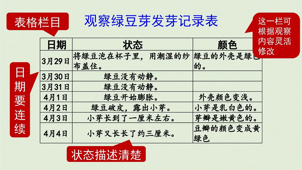 2025秋最新教材统编版语文四年级（上）第三单元-《习作：我的观察日记》第2课时【课件】第3页