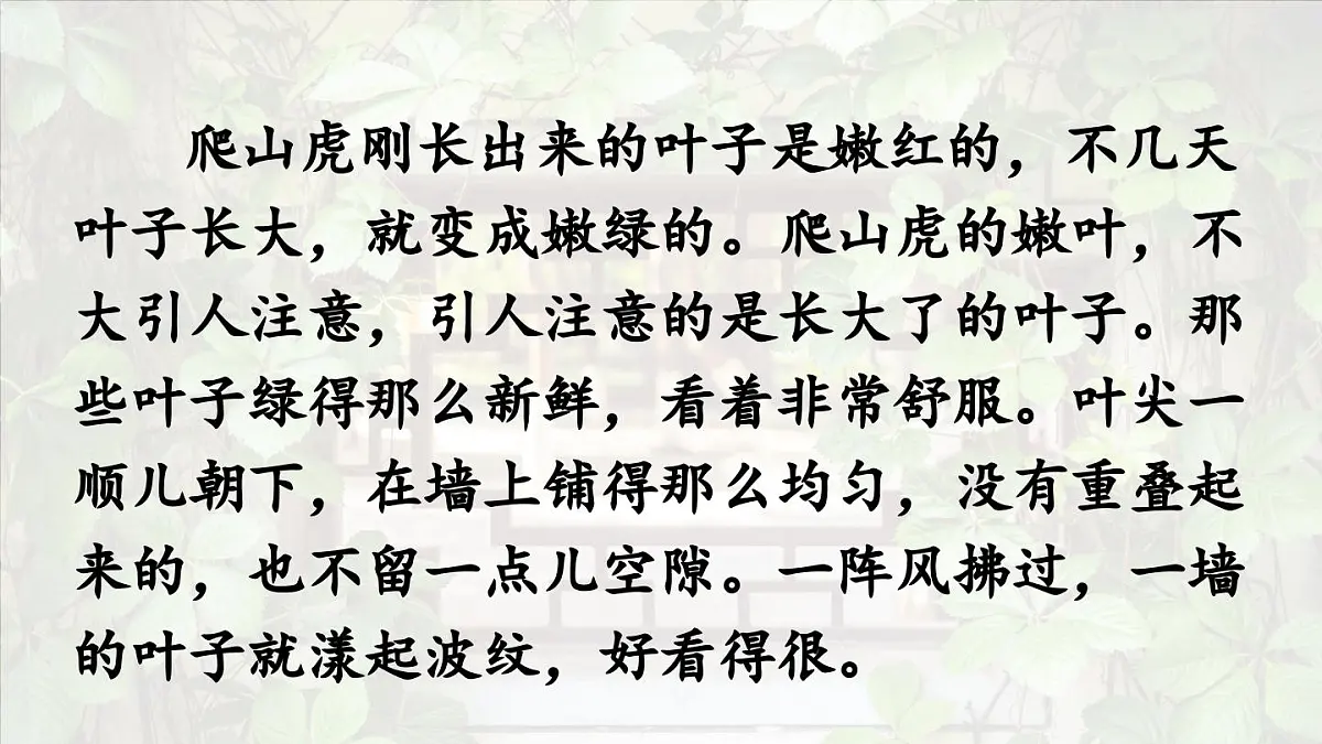 2025秋最新教材统编版语文四年级（上）第三单元-10《爬山虎的脚》第2课时【课件】第7页