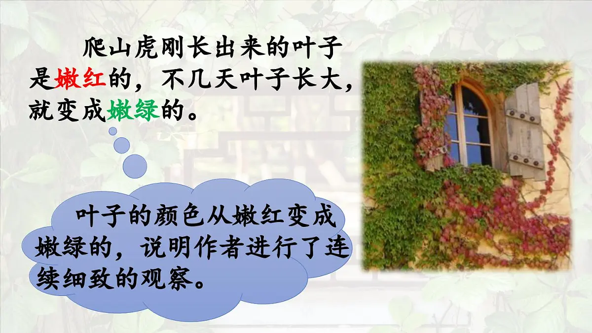 2025秋最新教材统编版语文四年级（上）第三单元-10《爬山虎的脚》第2课时【课件】第8页