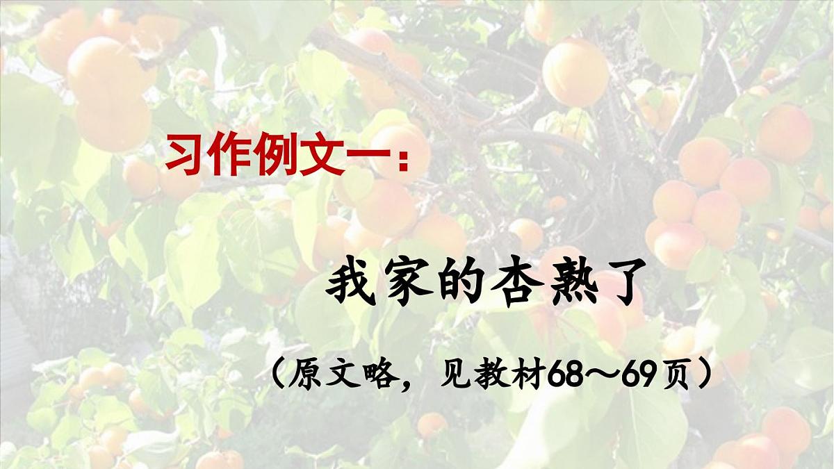 2025秋最新教材统编版语文四年级（上）第五单元-习作例文与习作第1课时【课件】第7页