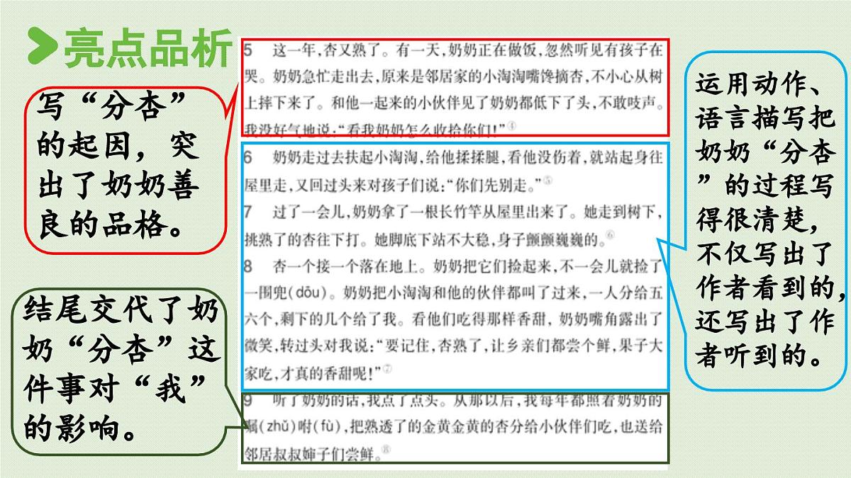 2025秋最新教材统编版语文四年级（上）第五单元-习作例文与习作第1课时【课件】第8页