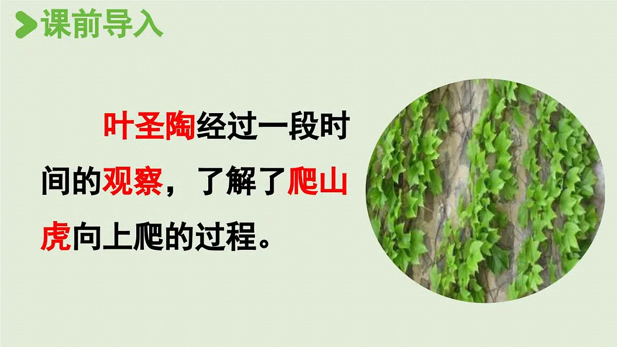 2025秋最新教材统编版语文四年级（上）第三单元-《习作：我的观察日记》第1课时【课件】第2页