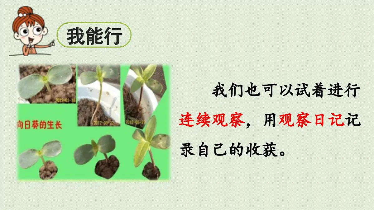 2025秋最新教材统编版语文四年级（上）第三单元-《习作：我的观察日记》第1课时【课件】第5页