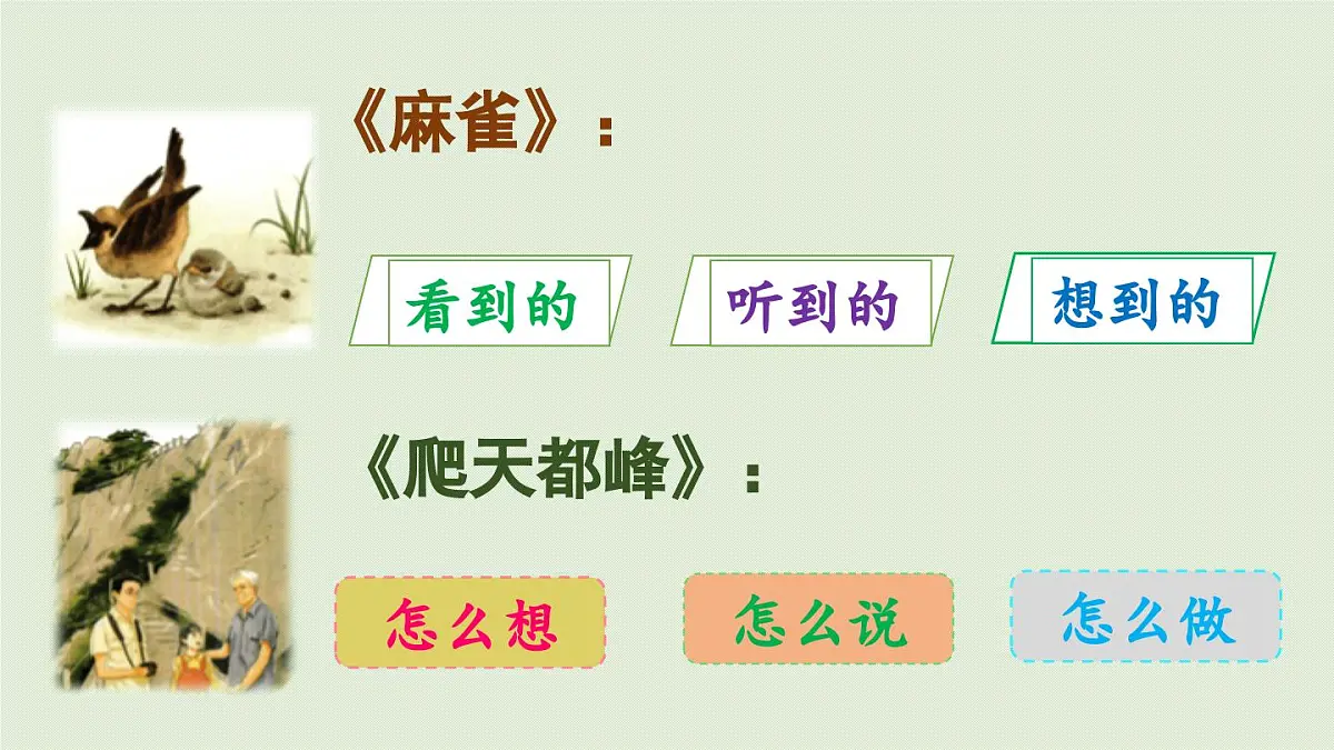 2025秋最新教材统编版语文四年级（上）第五单元-交流平台与初试身手【课件】第3页
