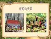【25秋】統(tǒng)編版小學(xué)語文二年級上冊-閱讀10.《葡萄溝》課件