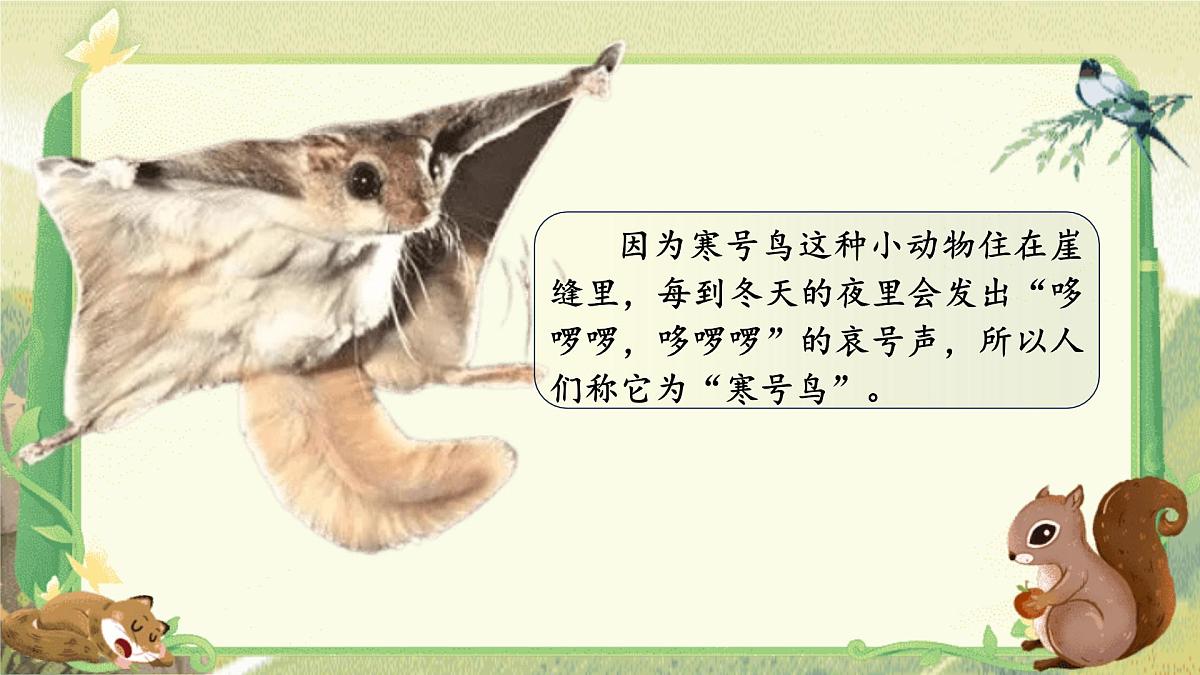 【25秋】统编版小学语文二年级上册-5.13《寒号鸟》课件第6页