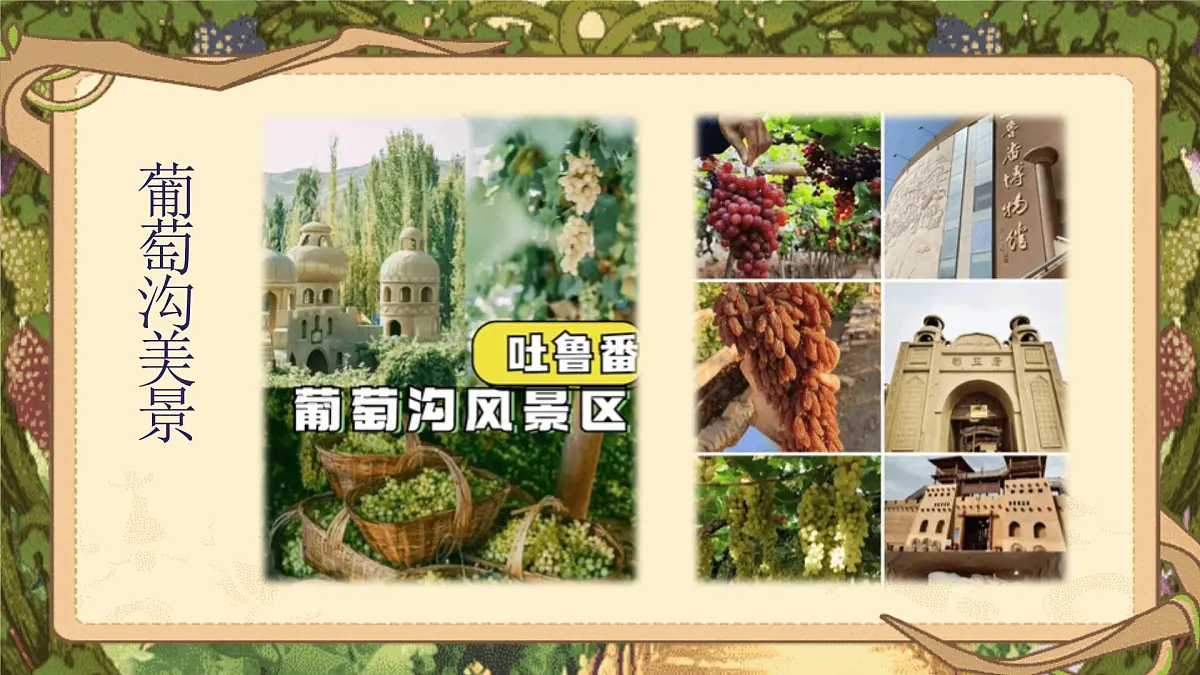 【25秋】统编版小学语文二年级上册-阅读10.《葡萄沟》课件第2页