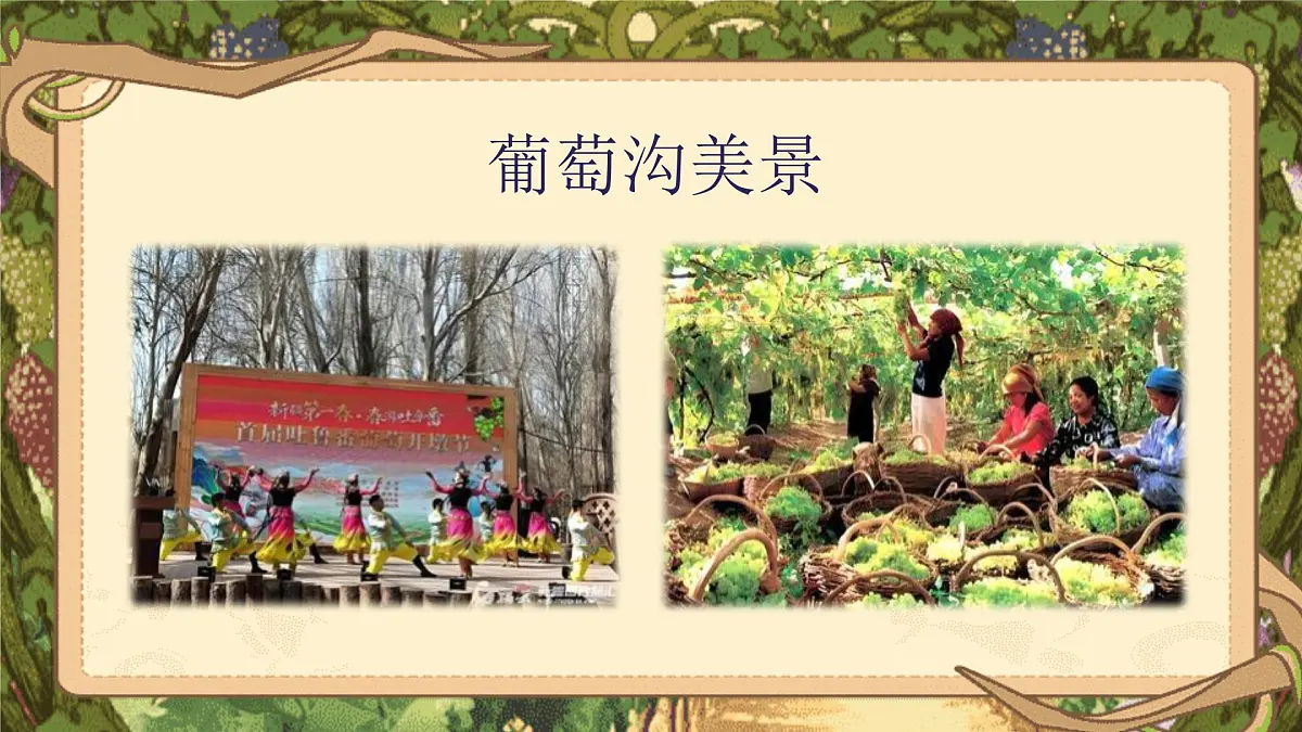 【25秋】统编版小学语文二年级上册-阅读10.《葡萄沟》课件第3页