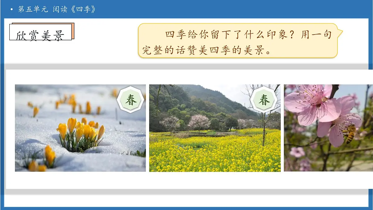 【任务型备课】统编版语文一上-阅读4. 四季（第2课时）（课件）第8页