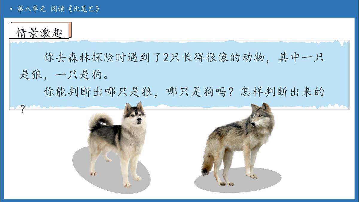 【任务型备课】统编版语文一上-阅读8. 比尾巴（第1课时）（课件）第8页