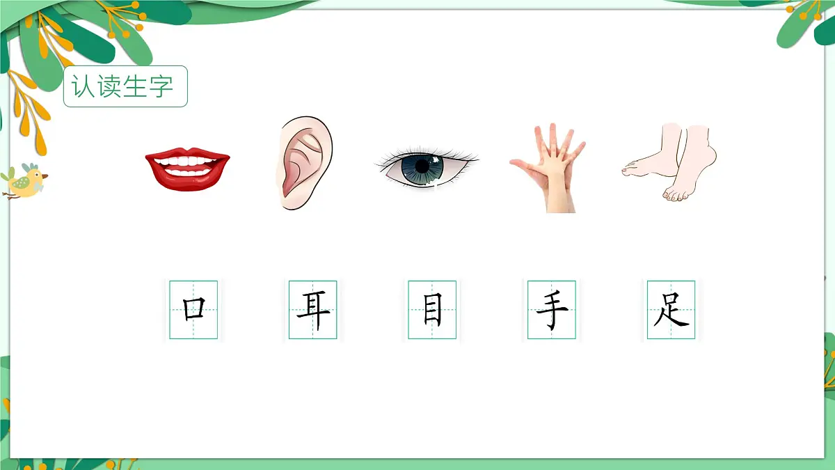 统编版语文一年级上册课件识字《3口耳目手足》第2页