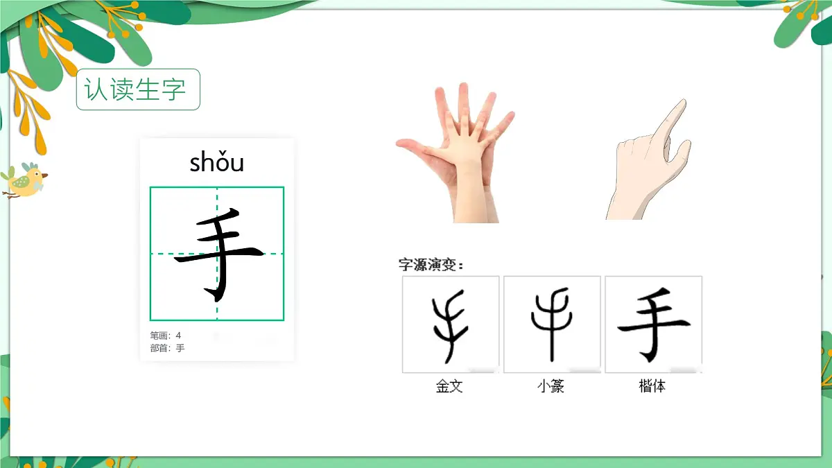 统编版语文一年级上册课件识字《3口耳目手足》第5页