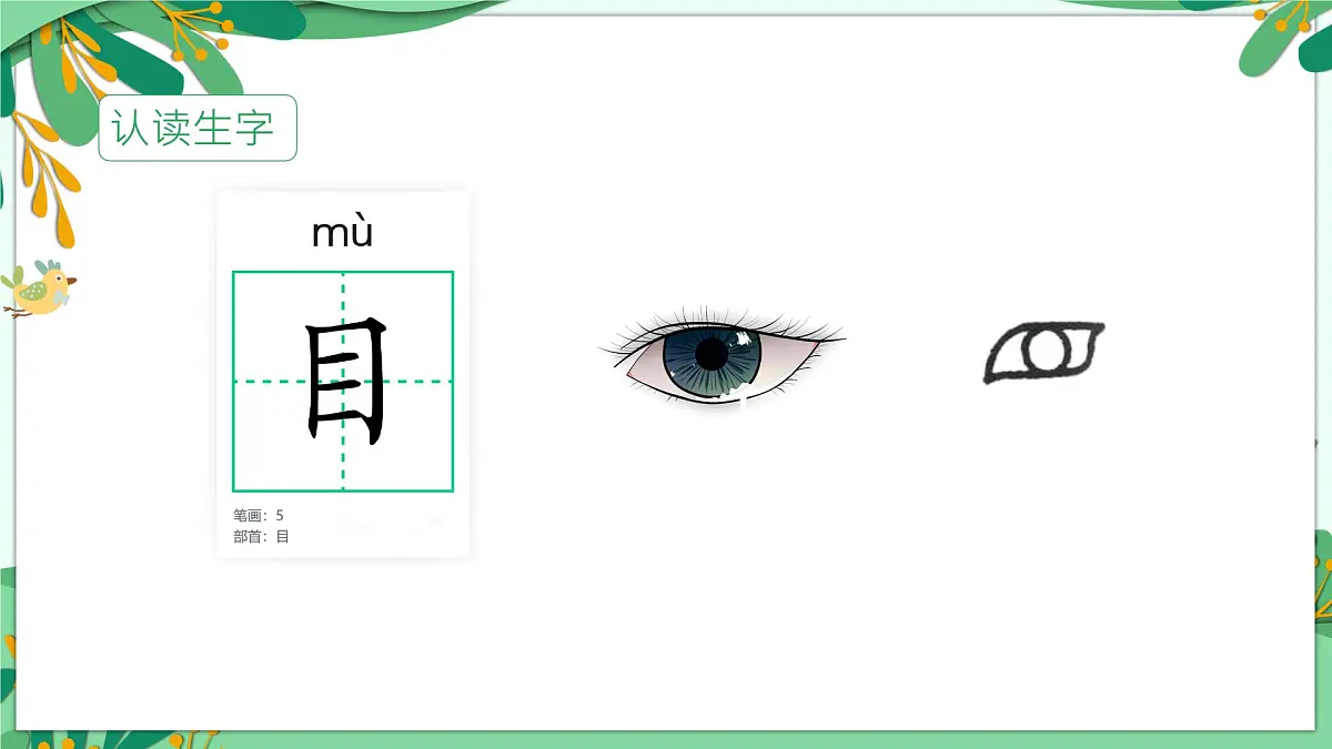统编版语文一年级上册课件识字《3口耳目手足》第7页