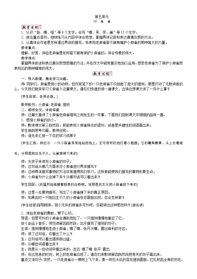 人教统编版25秋新教材小学四年级语文上册第五单元16 麻雀教案第1页