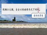 【任务型】部编版语文四上 1《观潮》课件+教案+特色作业+音视频素材