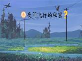 【任务型】部编版语文四上 6《夜间飞行的秘密》课件+教案+特色作业（无答案）+音视频素材