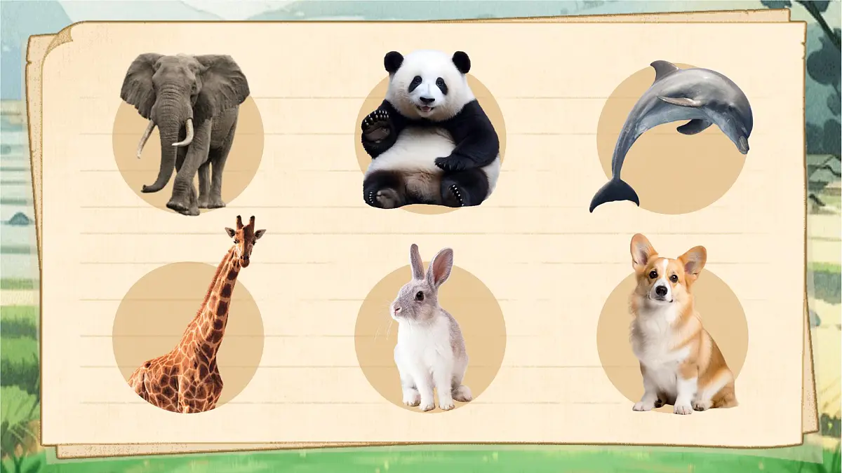 【25秋】统编版小学语文二年级上册-《口语交际：有趣的动物》课件第2页