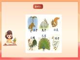 人教部編版（五四制）語文一年級上冊（2024）閱讀8《比尾巴》 課件