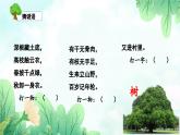 【新教材新课标】部编版语文二年级上册 识字2 树之歌 同步课件+同步教案+同步练习