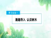 【新教材新課標(biāo)】部編版語文二年級上冊 識字2 樹之歌 同步課件+同步教案+同步練習(xí)