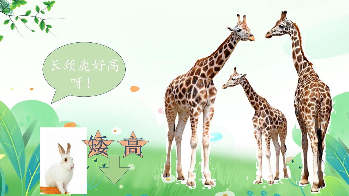 小学  语文  统编版（2024）  一年级上册（2024）  第五单元 阅读语文园地五 课件第7页
