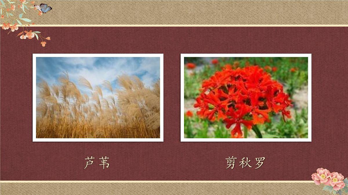 （24人教统编版小学语文）四年级上册第一单元3 现代诗二首【课件】第6页