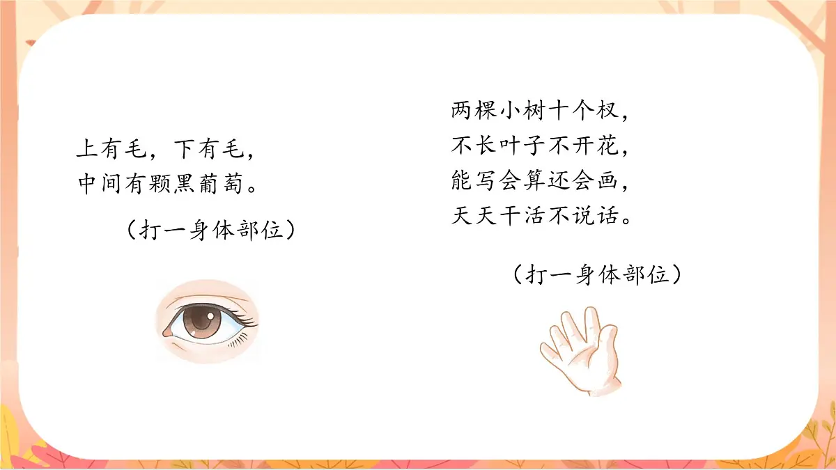 3 口耳目手足第5页