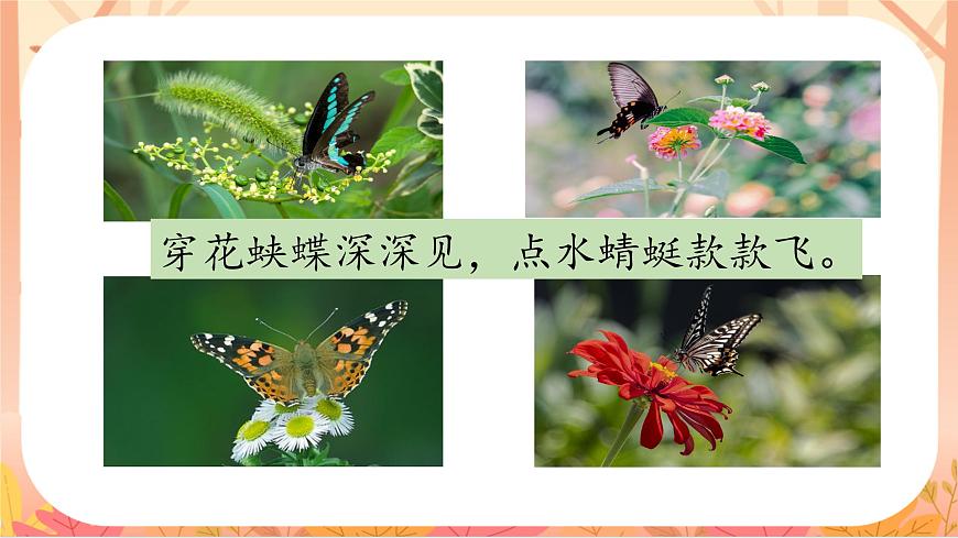 【课件】统编四上第2单元第8课《蝴蝶的家》第2页