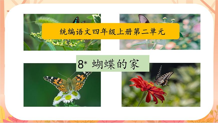 【课件】统编四上第2单元第8课《蝴蝶的家》第3页