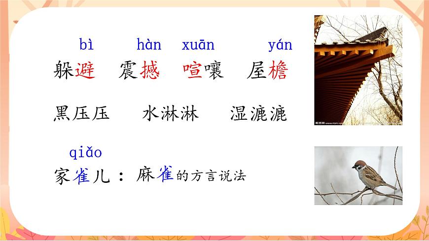 【课件】统编四上第2单元第8课《蝴蝶的家》第4页