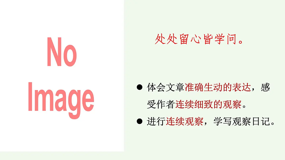 【课件】统编四上第3单元第11课《蟋蟀的住宅》第1页