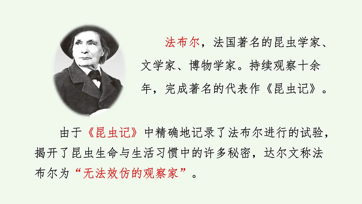 【课件】统编四上第3单元第11课《蟋蟀的住宅》第2页