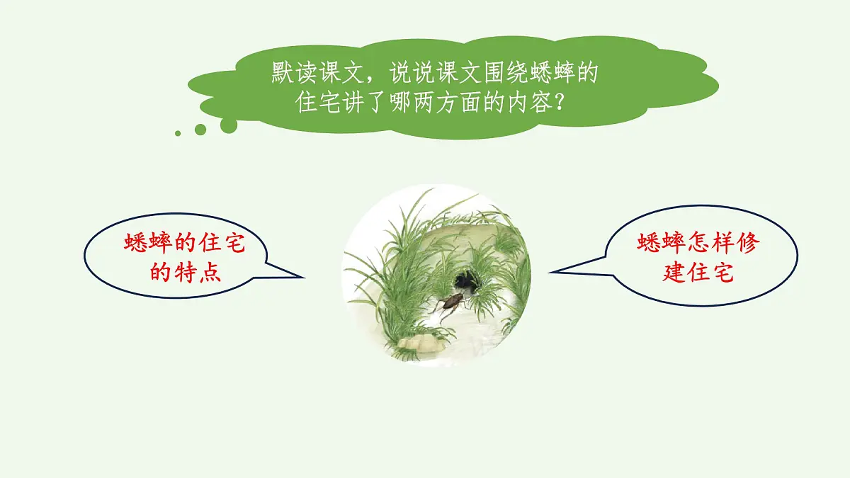 【课件】统编四上第3单元第11课《蟋蟀的住宅》第7页