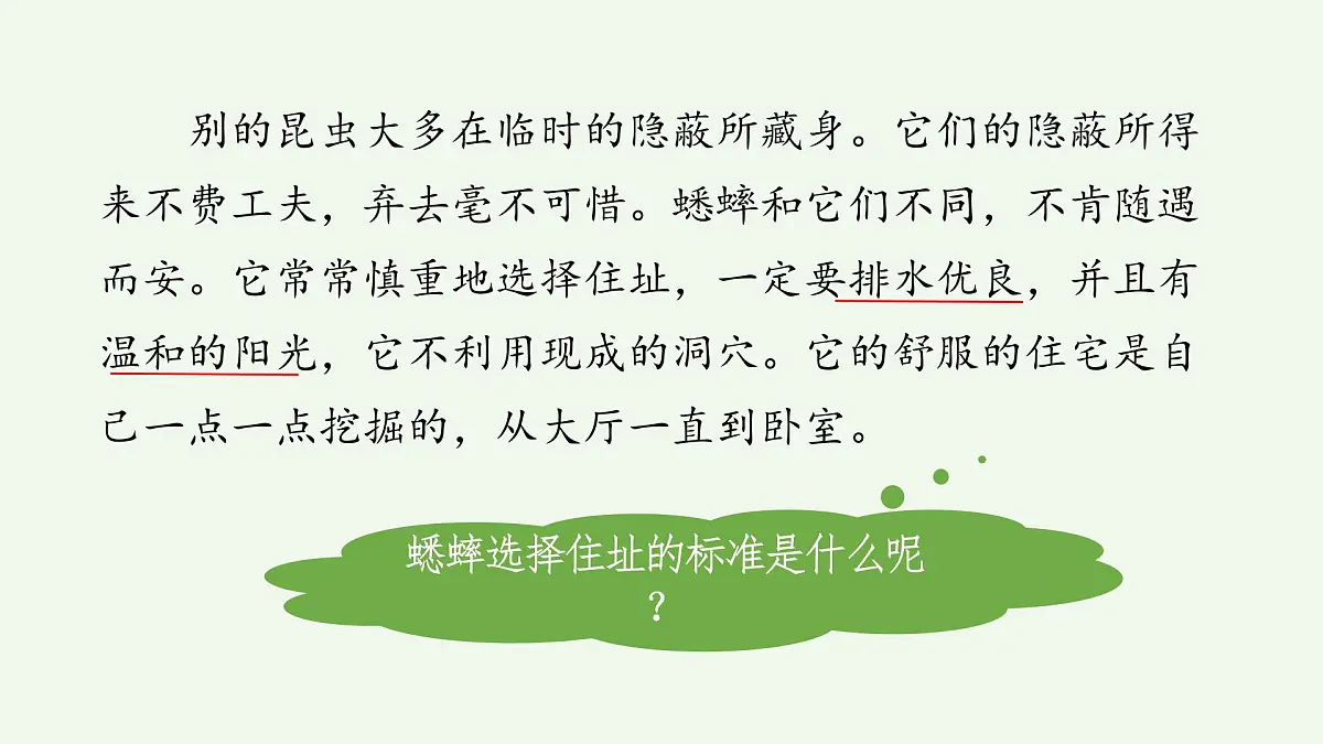 【课件】统编四上第3单元第11课《蟋蟀的住宅》第8页