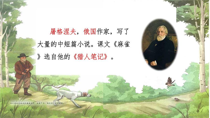 【课件】统编四上第五单元第16课《麻雀》第3页