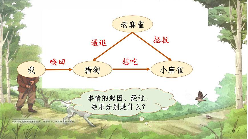 【课件】统编四上第五单元第16课《麻雀》第7页