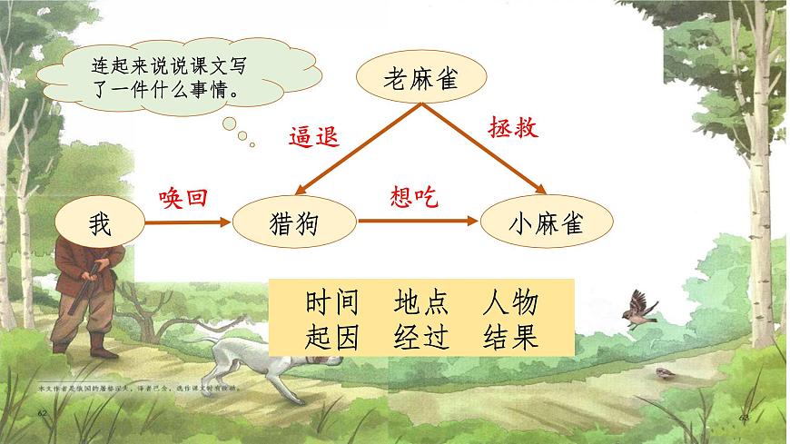 【课件】统编四上第五单元第16课《麻雀》第8页