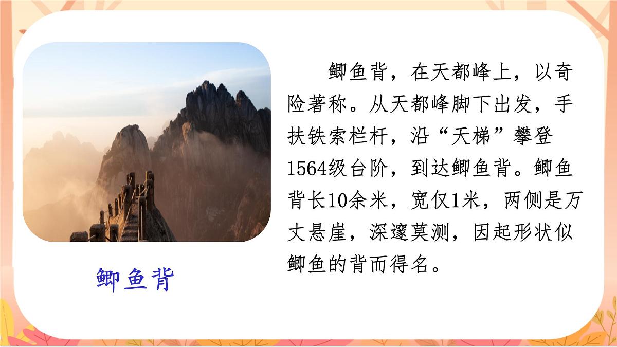 【课件】统编四上第五单元第17课《爬天都峰》第3页