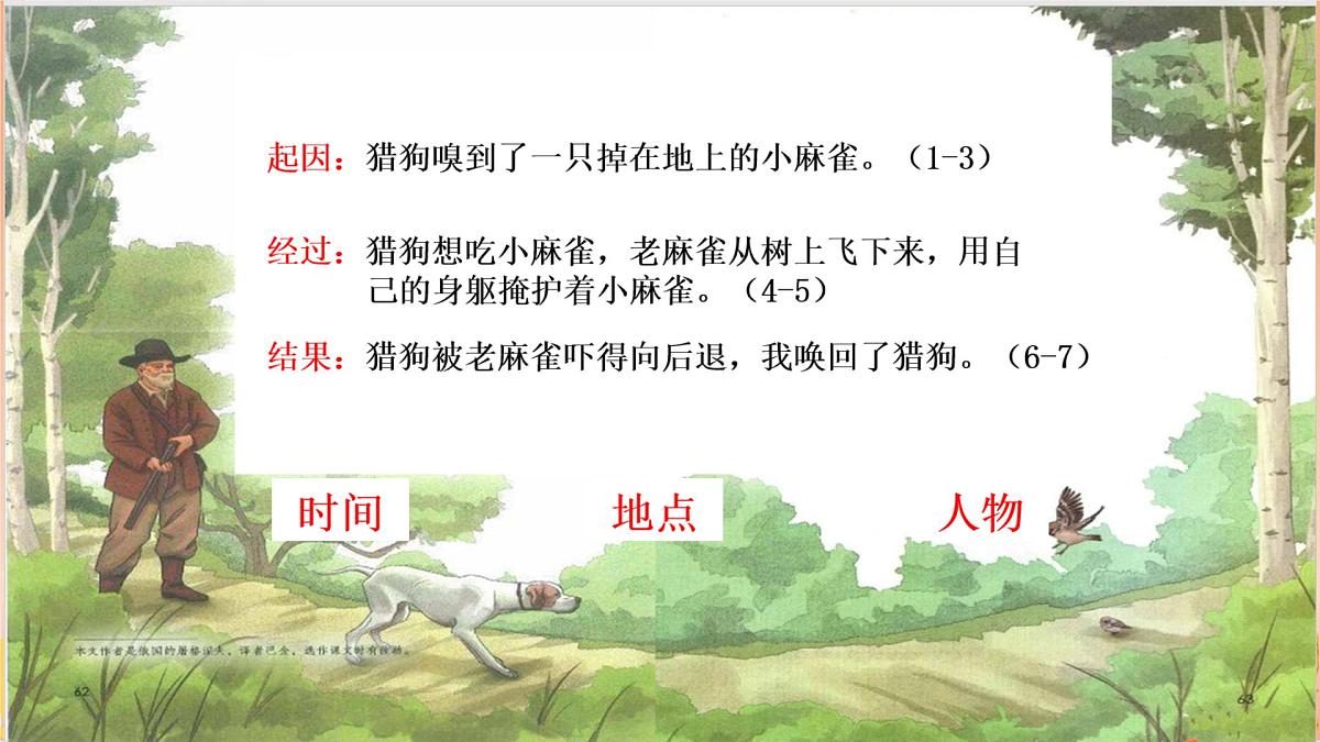 【课件】统编四上第5单元习作《生活万花筒》第5页