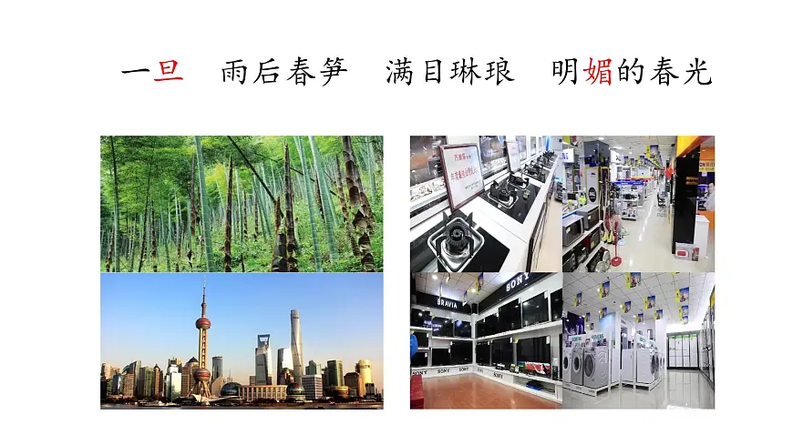 【课件】统编四上第7单元《延安，我把你追寻》第4页