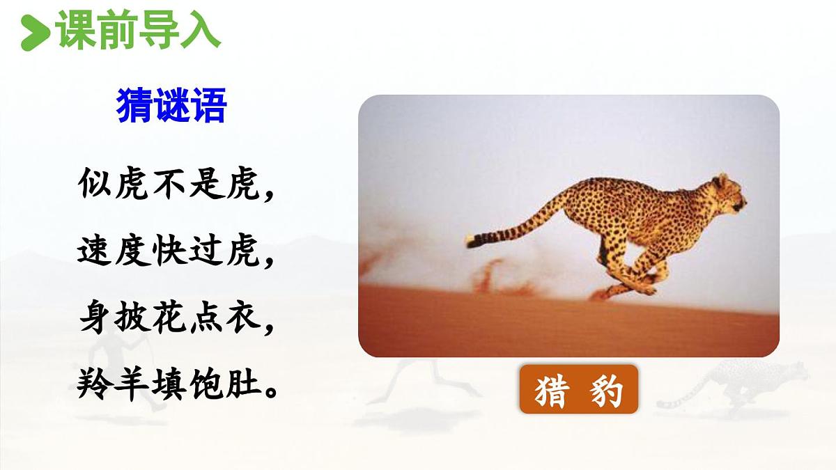 24人教统编版小学五年级语文上册第二单元7.什么比猎豹的速度更快第1课时 课件第2页
