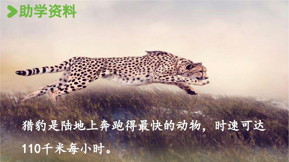24人教统编版小学五年级语文上册第二单元7.什么比猎豹的速度更快第1课时 课件第3页