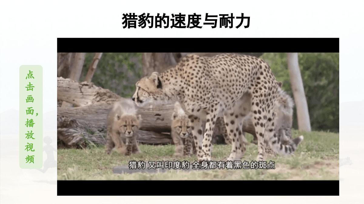 24人教统编版小学五年级语文上册第二单元7.什么比猎豹的速度更快第1课时 课件第4页